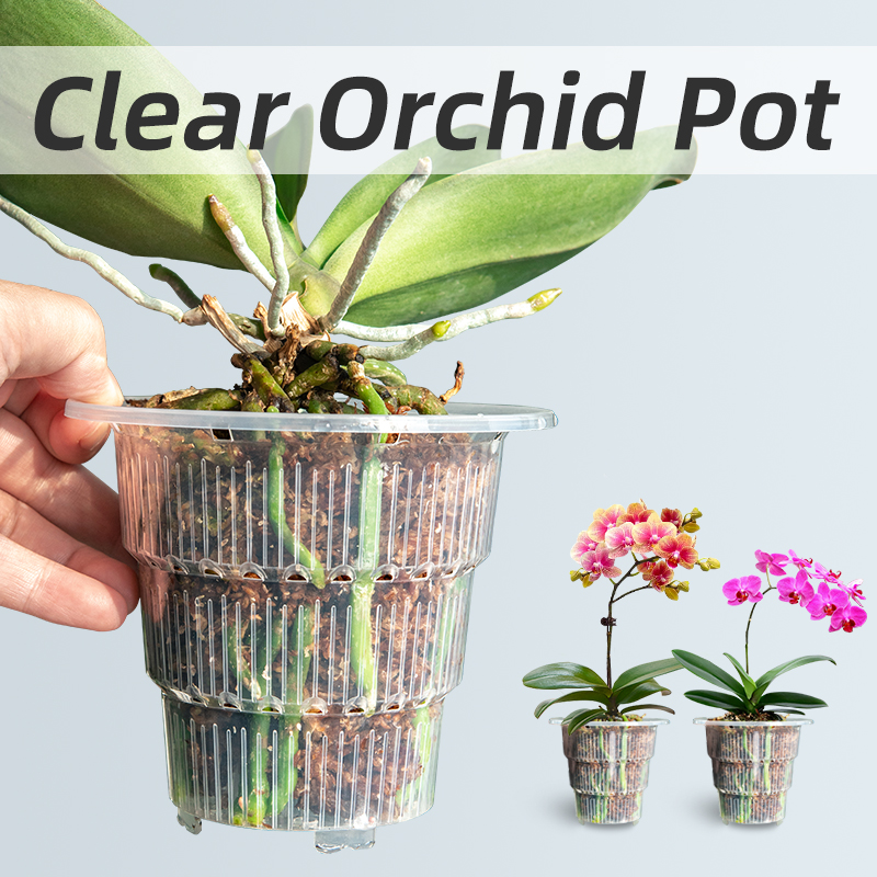 Plant Parent - أوعية أوركيد بلاستيكية شفافة مع ثقوب