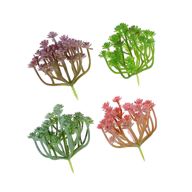 Succulent Arrangement Mini - Wusmarty-العصارة الاصطناعية الكبيرة ، Xian ،