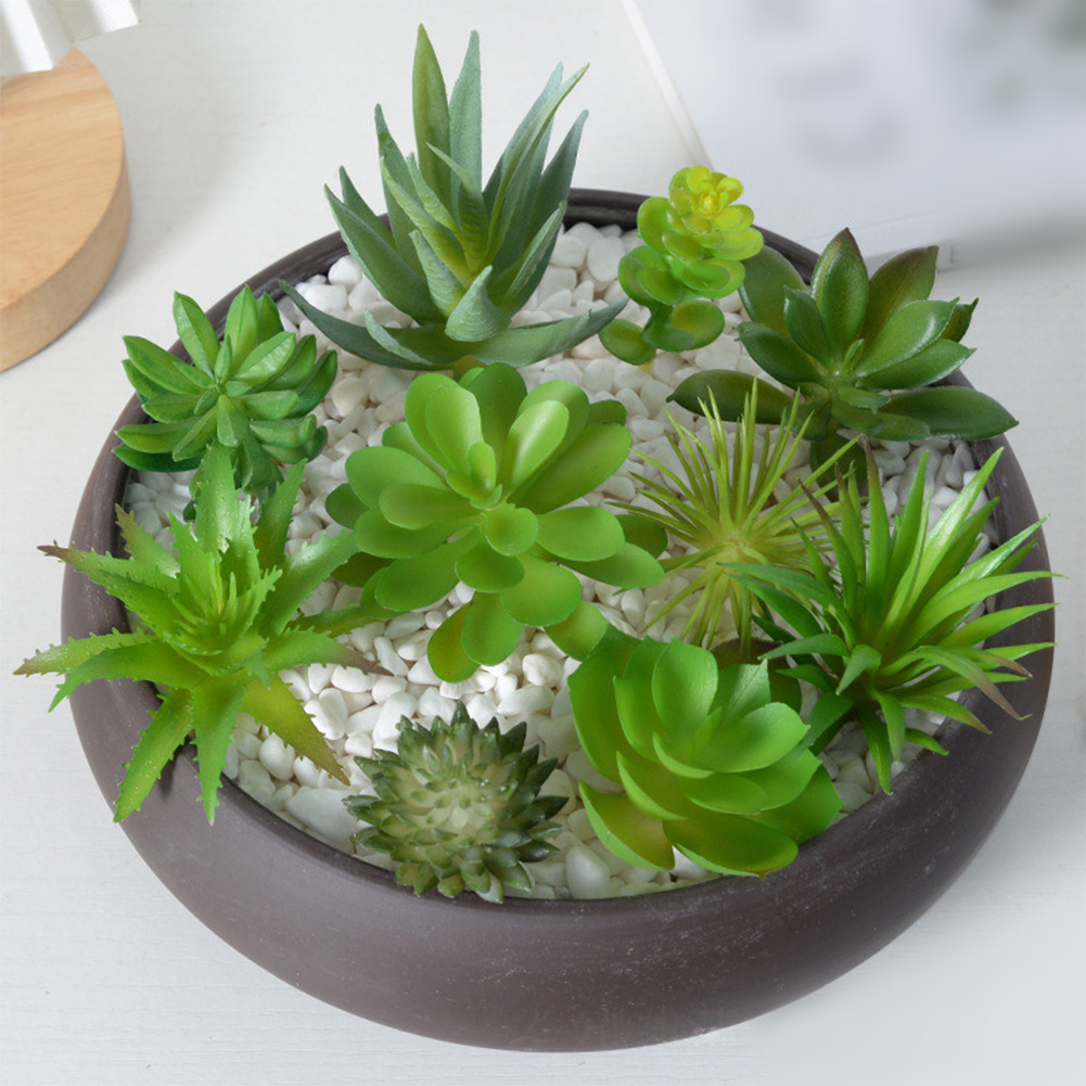 Succulent Arrangement Mini - ترتيب نباتات صبار صناعية صغيرة للمنزل