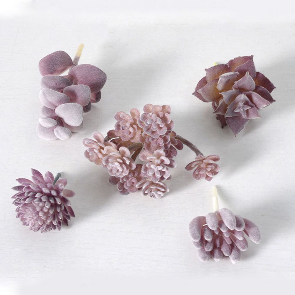 Succulent Arrangement Mini - أصيص نباتات عصارية دائري جذاب للنباتات