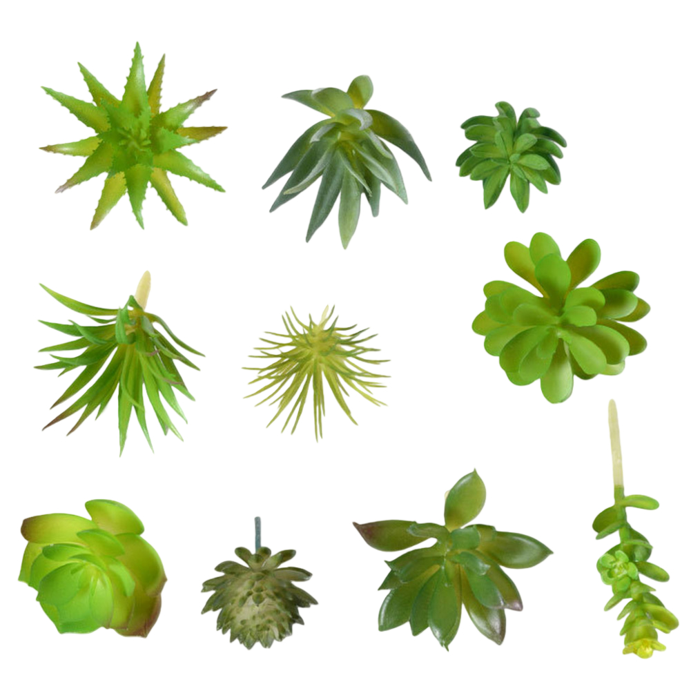 Succulent Arrangement Mini - مستلزمات تصوير مناسبة لترتيبات النباتات العصارية