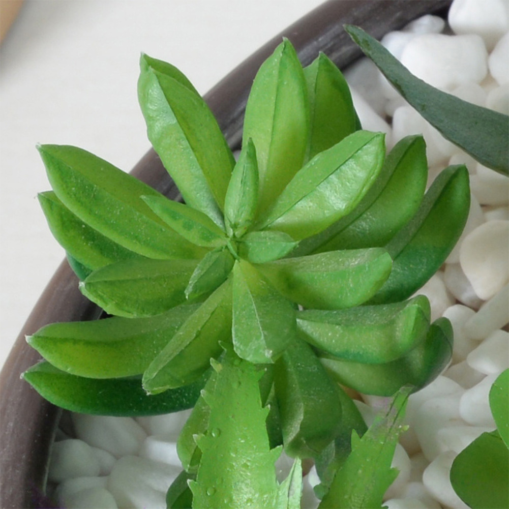 Succulent Arrangement Mini - ترتيب نباتات عصارية اصطناعية بتصميم ميني
