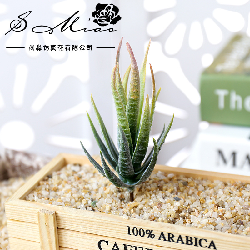 Succulent Arrangement Mini - نباتات عصارية اصطناعية من ووسمارت بان