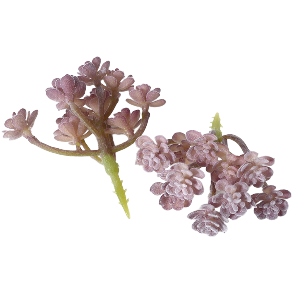 Succulent Arrangement Mini - نباتات عصارية صناعية بنفسجية اللون من