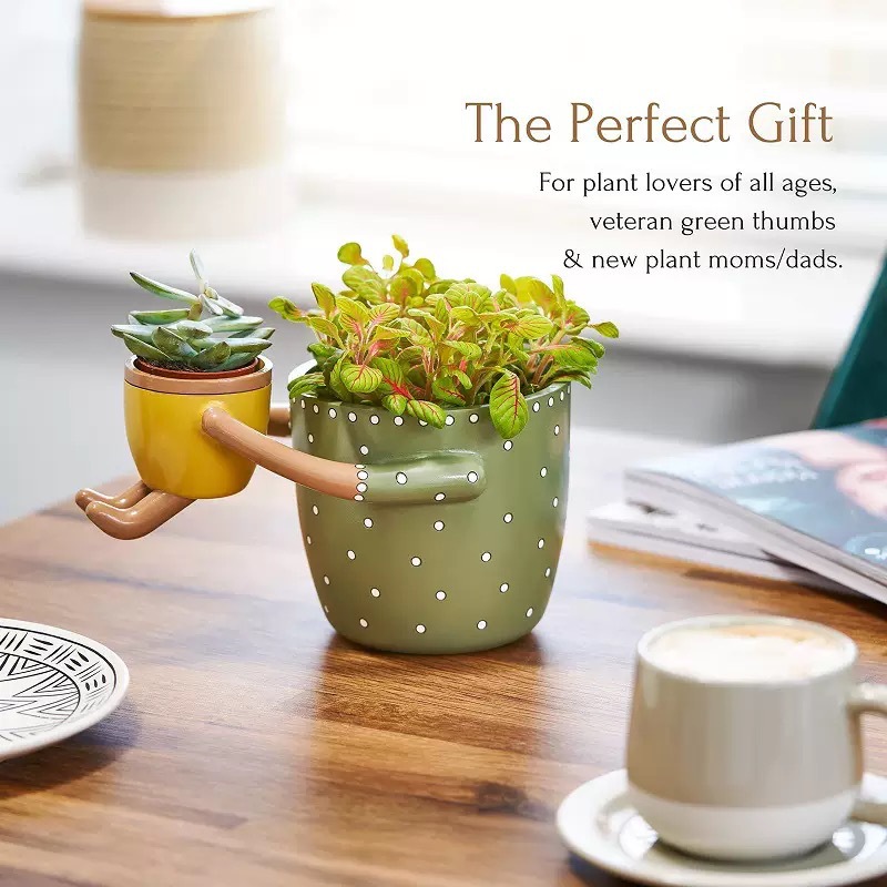 وعاء زهور من الراتنج بتصميم ال - مراجعة Plant Parent Pot وسعره