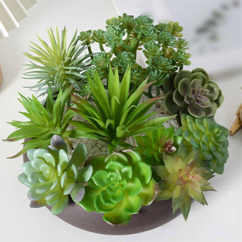 نباتات اصطناعية لتزيين المكاتب - مراجعة Succulent Arrangement Mini وسعره