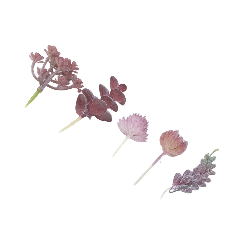 نباتات اصطناعية لتزيين المكاتب - مراجعة Succulent Arrangement Mini وسعره