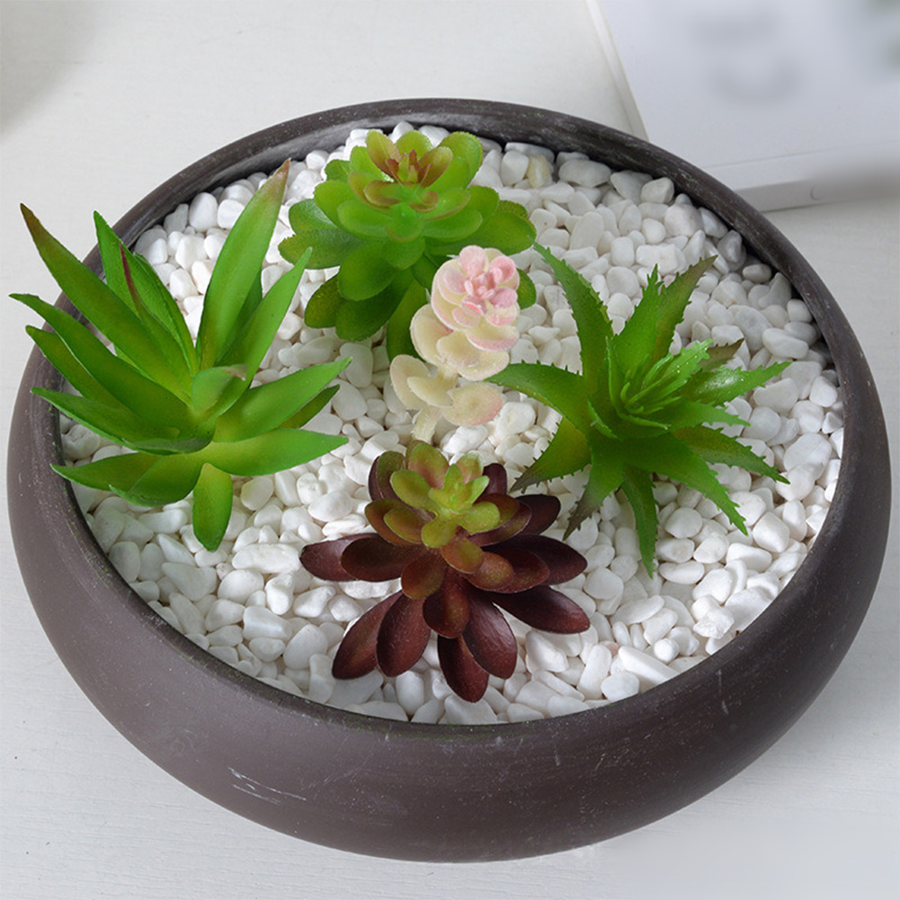 نباتات اصطناعية لتزيين المكاتب - مراجعة Succulent Arrangement Mini وسعره