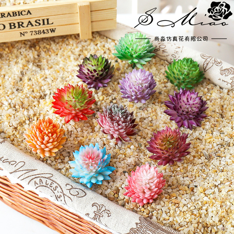 نباتات عصارية اصطناعية ، زهرة  - مراجعة Succulent Arrangement Mini وسعره
