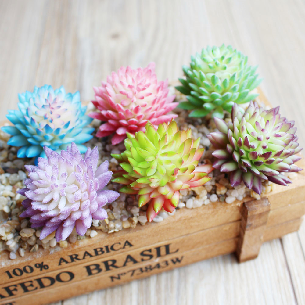 نباتات عصارية اصطناعية ، زهرة  - مراجعة Succulent Arrangement Mini وسعره
