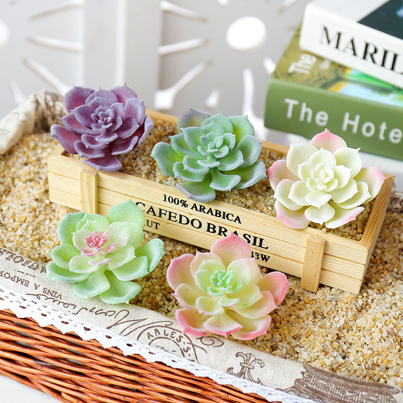 Wusmart صغيرة شوي ليان نباتات  - مراجعة Succulent Arrangement Mini وسعره