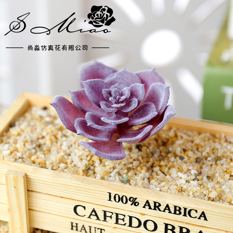 Wusmart صغيرة شوي ليان نباتات  - مراجعة Succulent Arrangement Mini وسعره