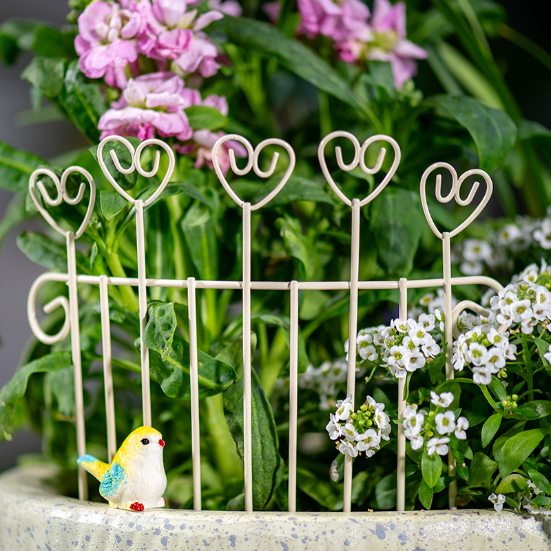 سياج حديقة معدني صغير بتصميم خ - مراجعة Succulent Arrangement Mini وسعره