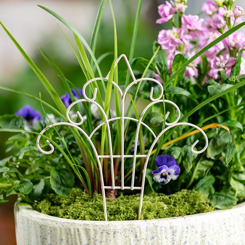 سياج حديقة معدني صغير بتصميم خ - مراجعة Succulent Arrangement Mini وسعره