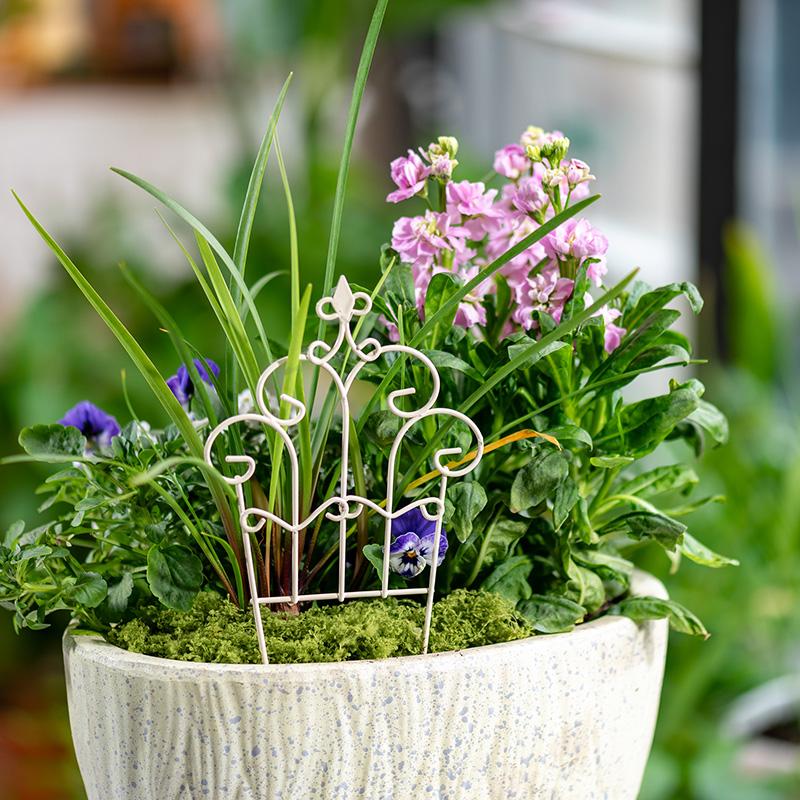 سياج حديقة معدني صغير بتصميم خ - مراجعة Succulent Arrangement Mini وسعره