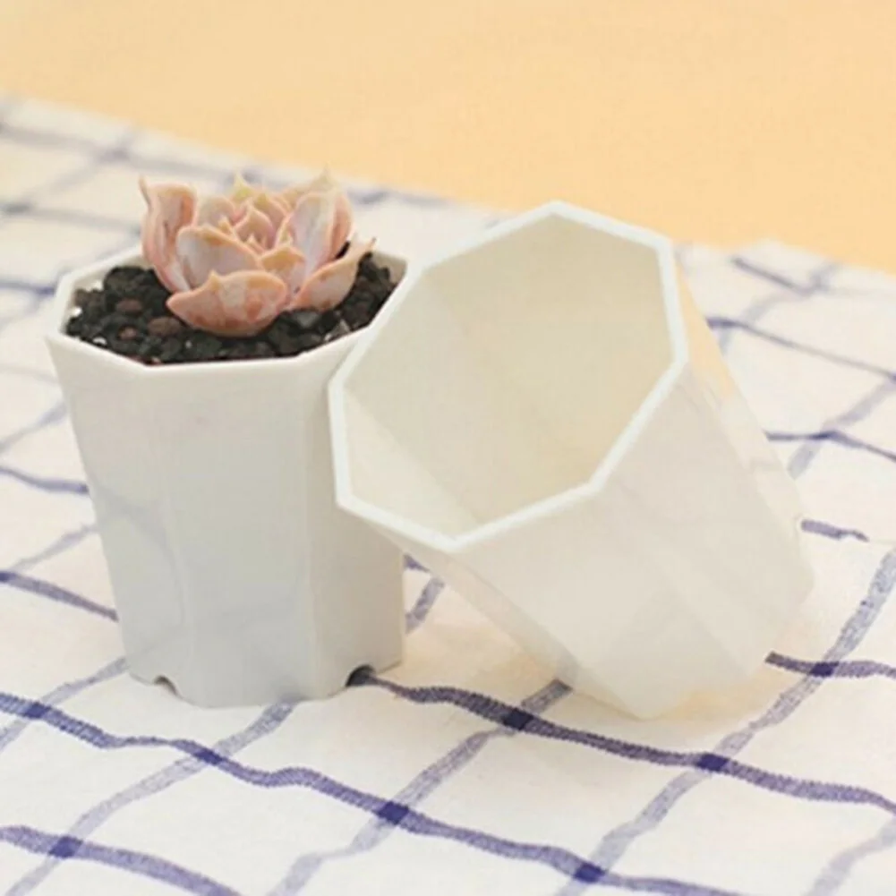 10 قطع من أواني الزهور البلاست - مراجعة Succulent Arrangement Mini وسعره