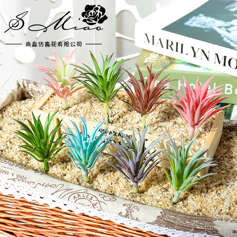 نباتات لينغ جياو كاو الصناعية  - مراجعة Succulent Arrangement Mini وسعره