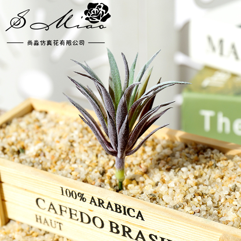 نباتات لينغ جياو كاو الصناعية  - مراجعة Succulent Arrangement Mini وسعره