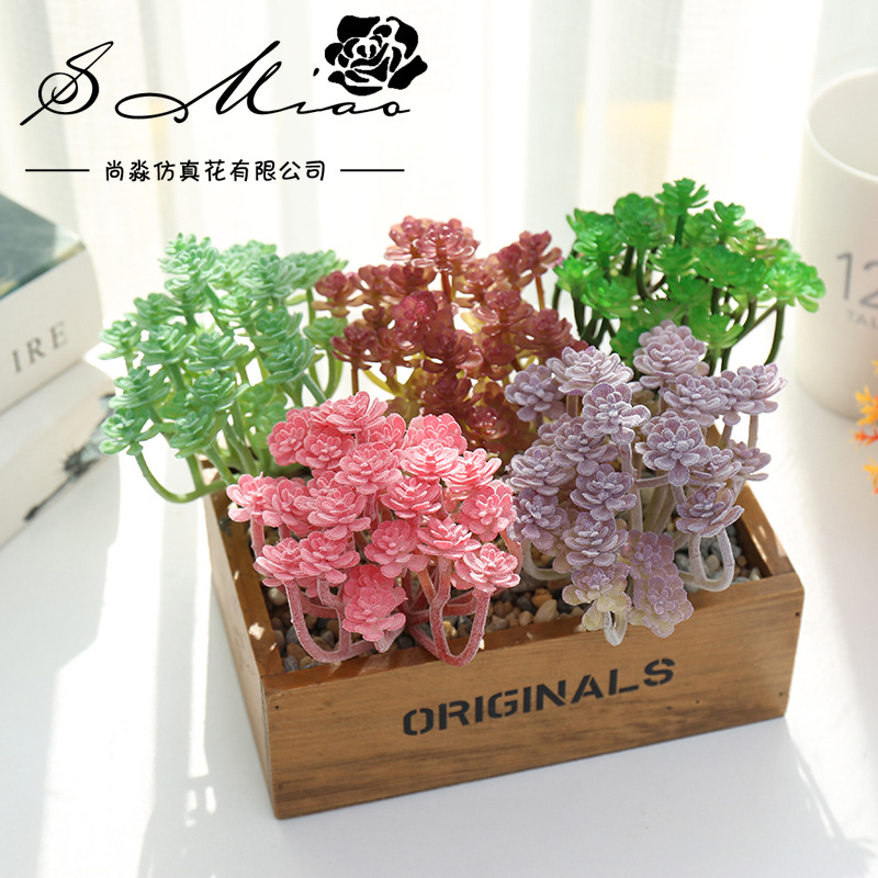 Wusmarty-العصارة الاصطناعية ال - مراجعة Succulent Arrangement Mini وسعره