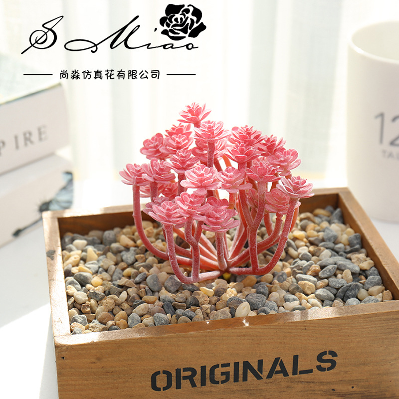 Wusmarty-العصارة الاصطناعية ال - مراجعة Succulent Arrangement Mini وسعره