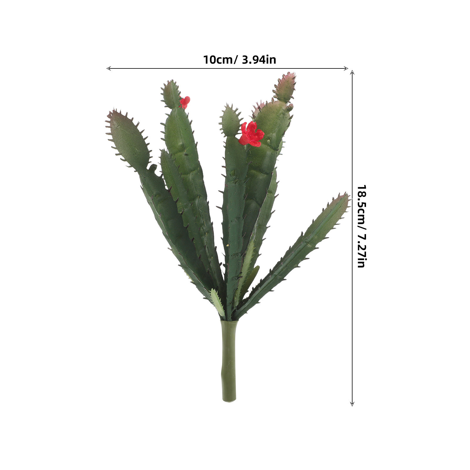ترتيب زهور صبار اصطناعية صغيرة - مراجعة Succulent Arrangement Mini وسعره