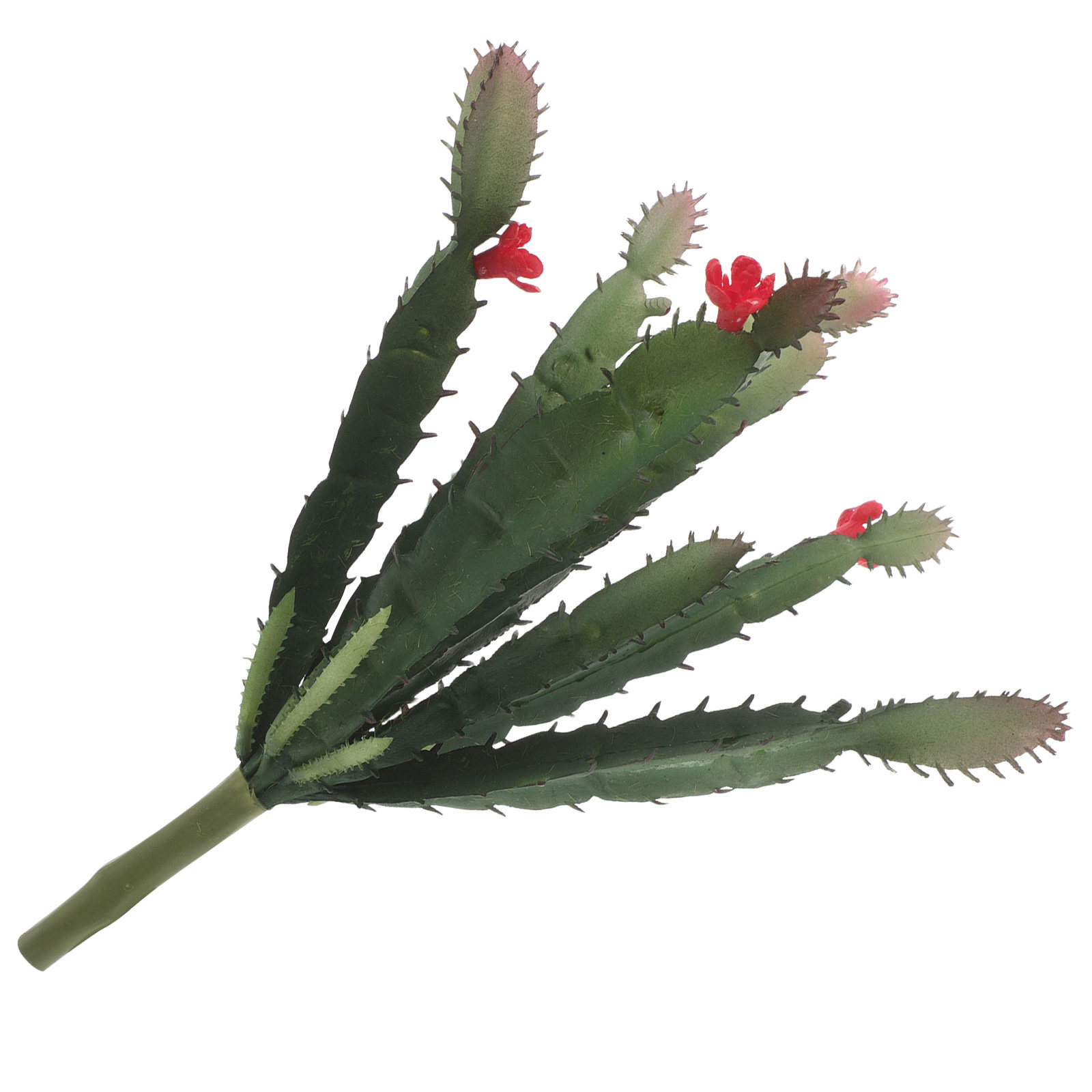 ترتيب زهور صبار اصطناعية صغيرة - مراجعة Succulent Arrangement Mini وسعره