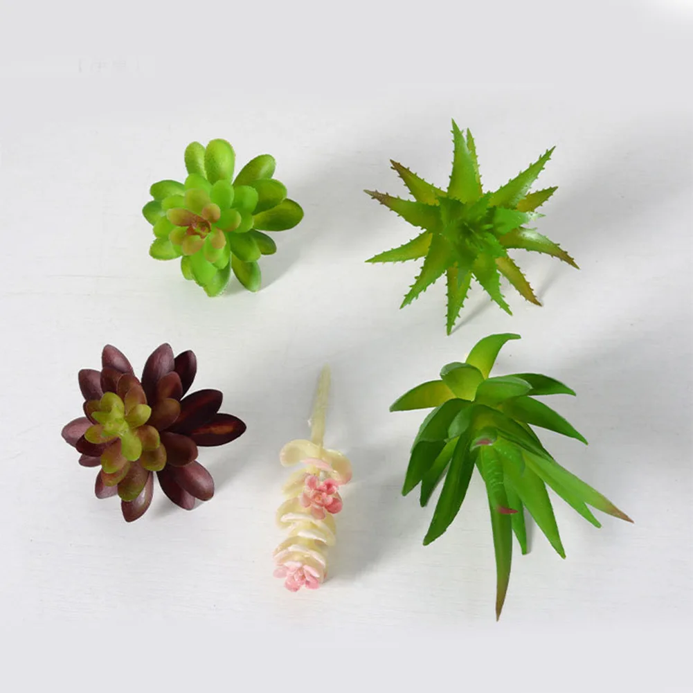 أصيص نباتات عصارية جذابة لتزيي - مراجعة Succulent Arrangement Mini وسعره