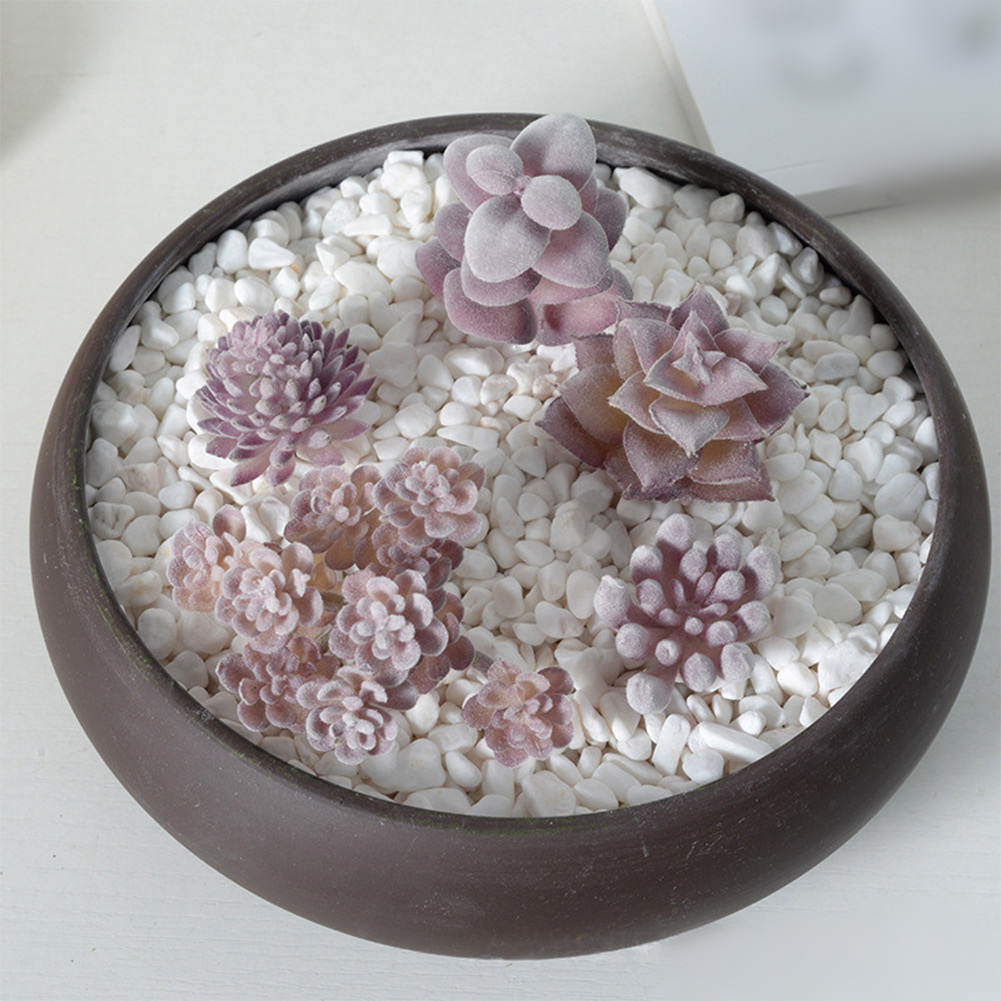 مستلزمات تصوير مناسبة لترتيبات - مراجعة Succulent Arrangement Mini وسعره