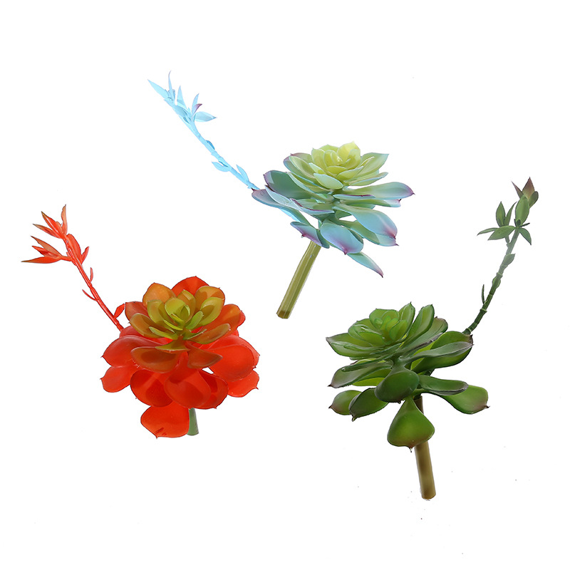 Wusmart-zhong Lian عصارة صناعي - مراجعة Succulent Arrangement Mini وسعره