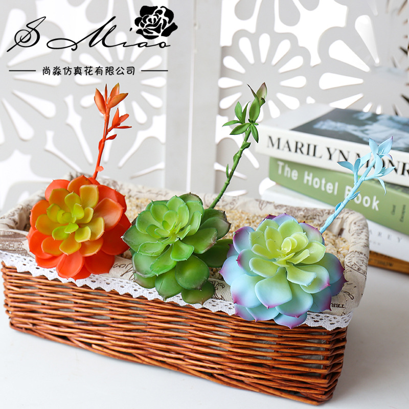 Wusmart-zhong Lian عصارة صناعي - مراجعة Succulent Arrangement Mini وسعره