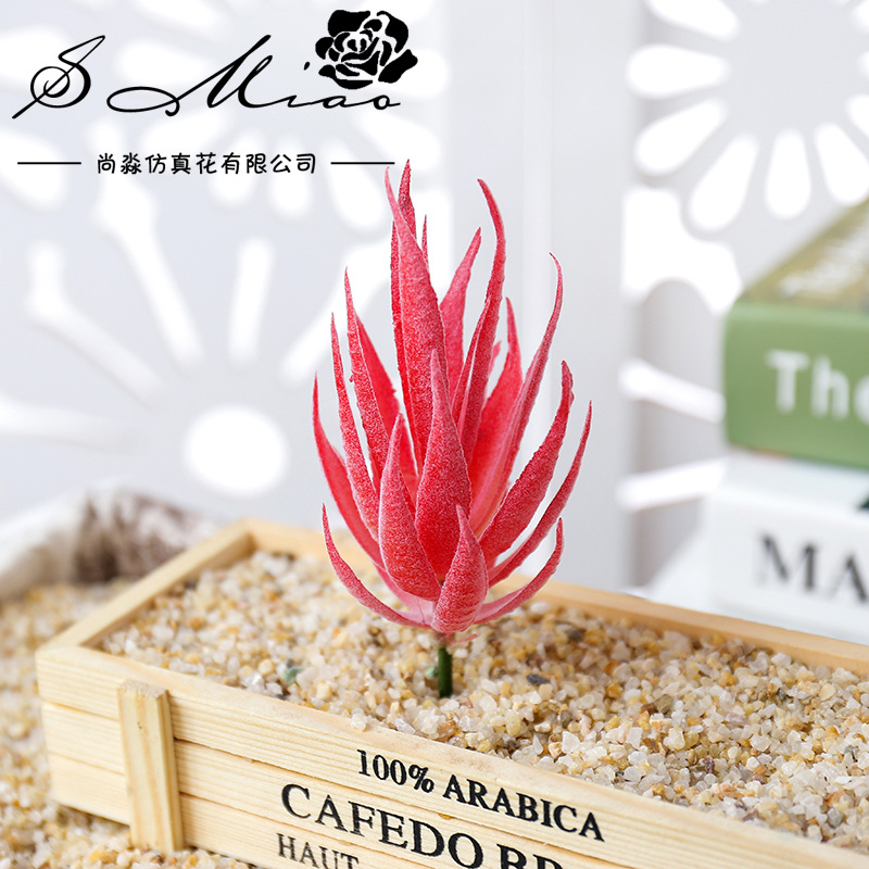 نباتات عصارية اصطناعية من ووسم - مراجعة Succulent Arrangement Mini وسعره