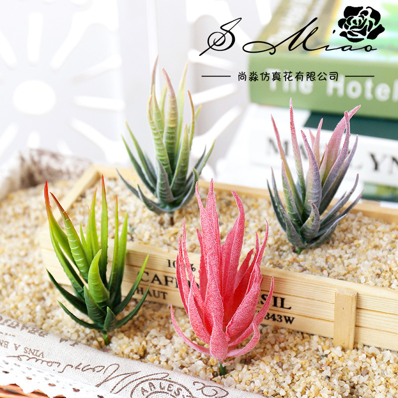 نباتات عصارية اصطناعية من ووسم - مراجعة Succulent Arrangement Mini وسعره