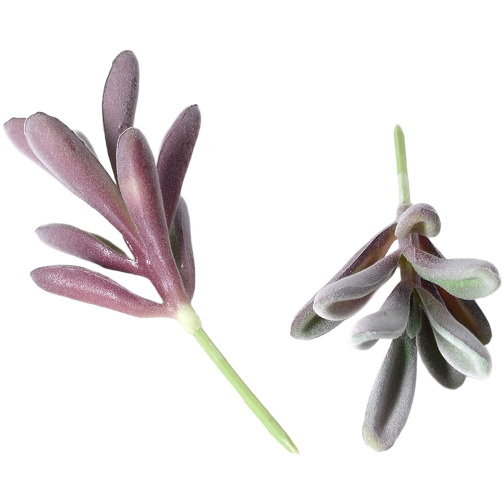 نباتات عصارية صناعية بنفسجية ا - مراجعة Succulent Arrangement Mini وسعره